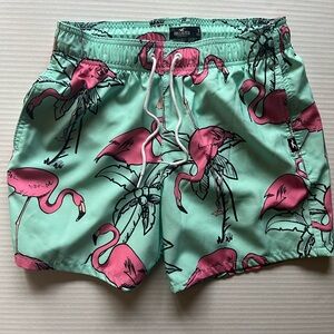 Hollister Mint Green Swim Trunks with Pink Flamingos